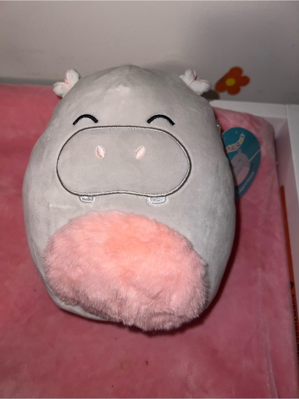 Plush Hippo Squishmallow - Gray with Pink Accent